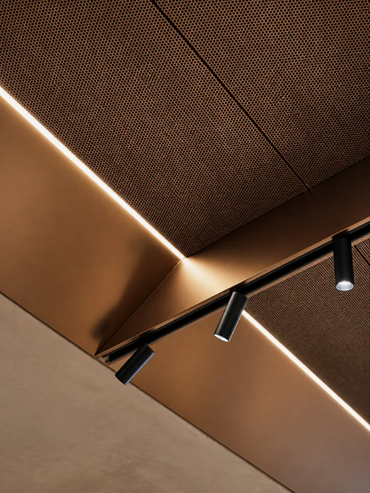 Track Lighting by Elevage Lighting Group
