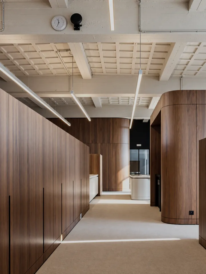 Linear and Suspended Fittings by Elevage Lighting Group